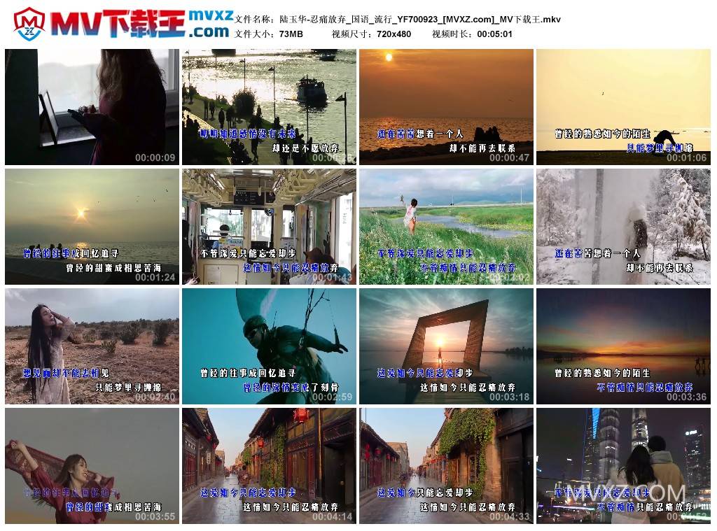 陆玉华-忍痛放弃_国语_流行_YF700923